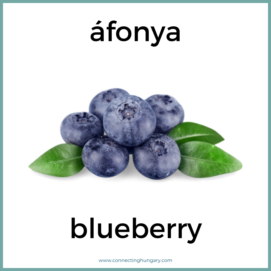 afonya blueberry