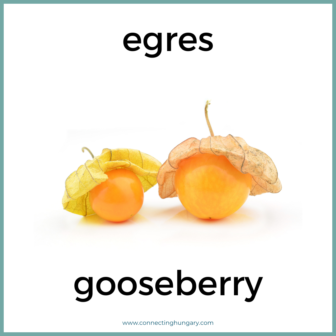 egres gooseberry