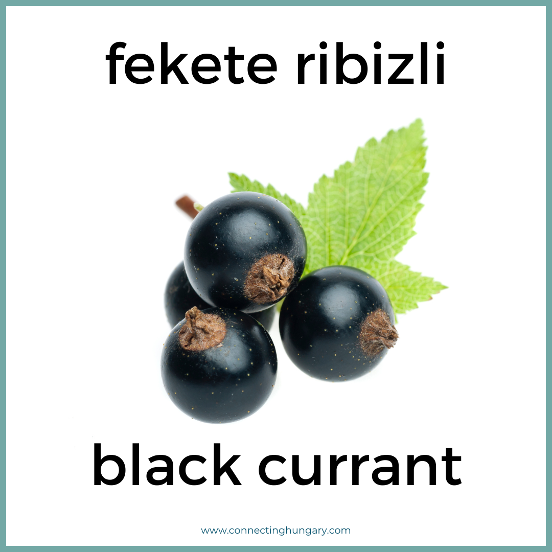 fekete ribizli black currant