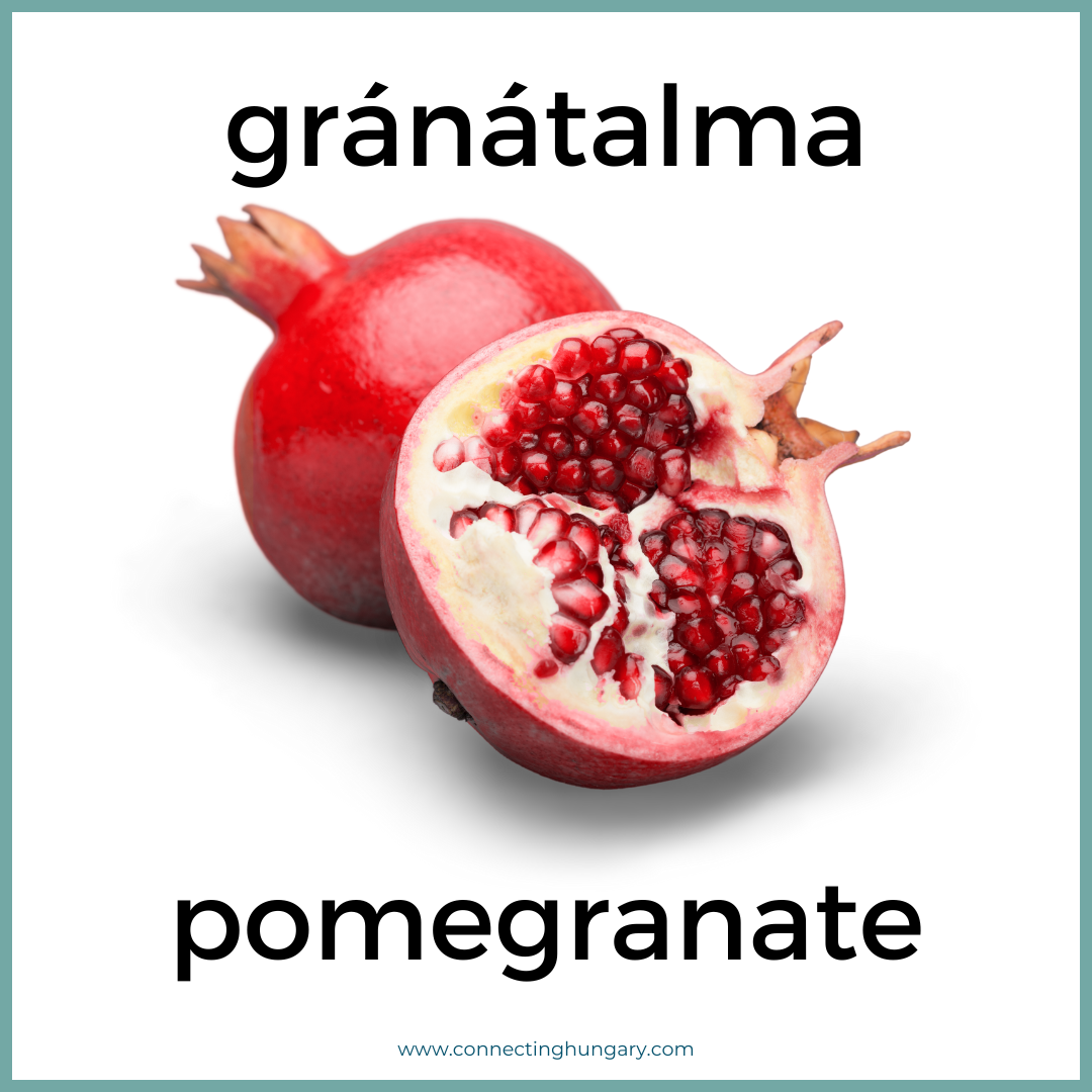 granatalma pomegranate