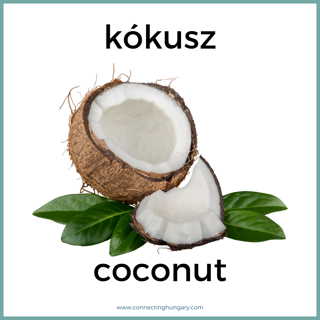 kokusz coconut