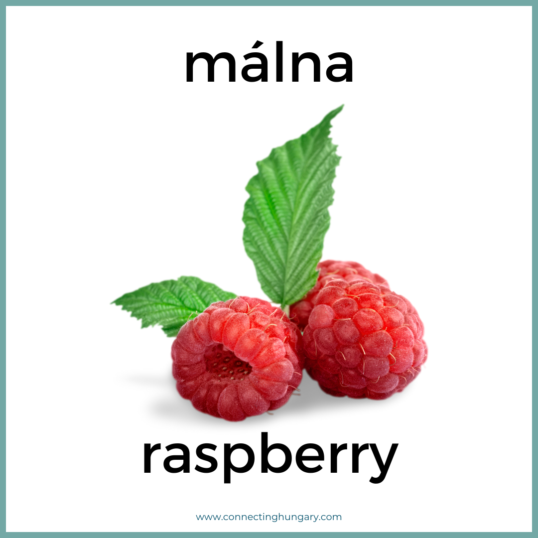 malna raspberry