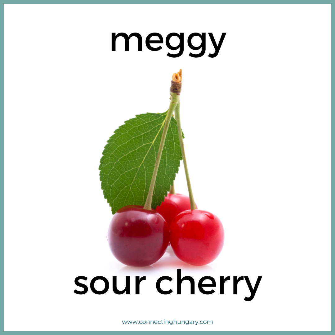 meggy sour cherry