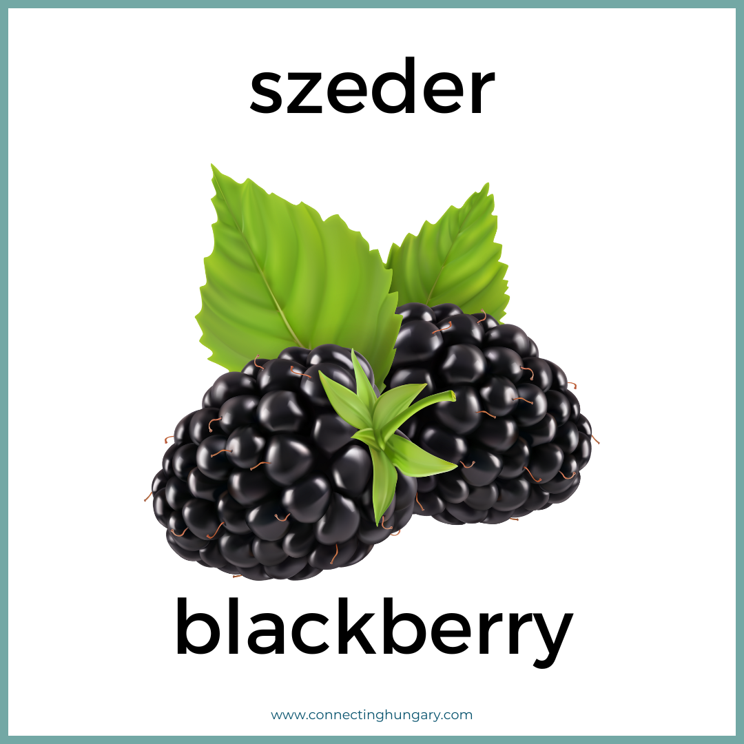 szeder blackberry