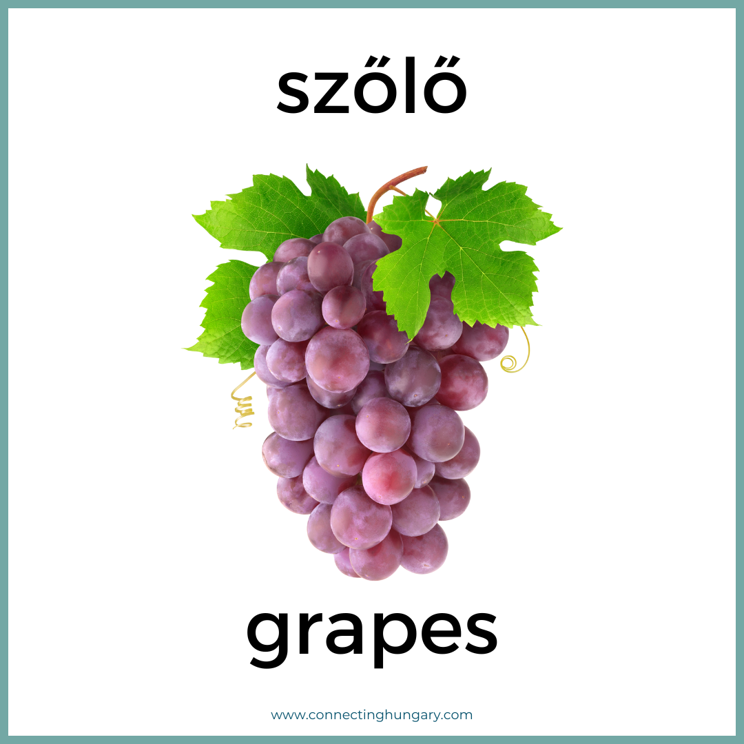 szolo grapes