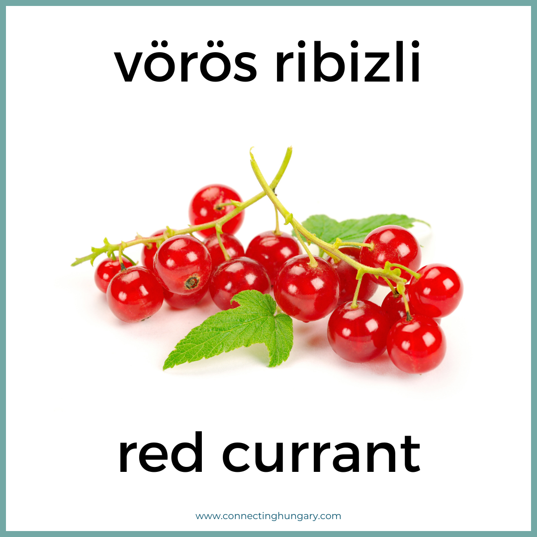 voros ribizli red current