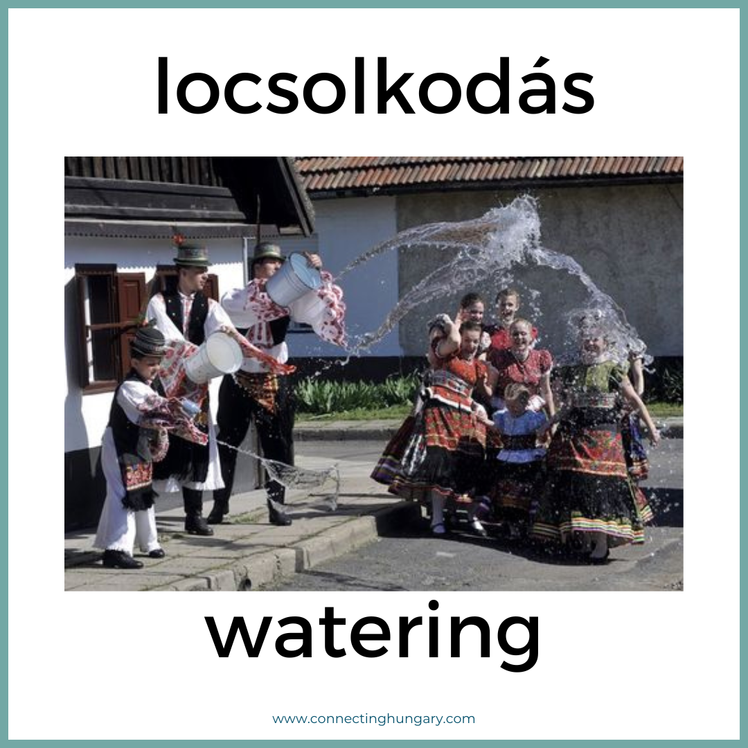 locsolkodas watering