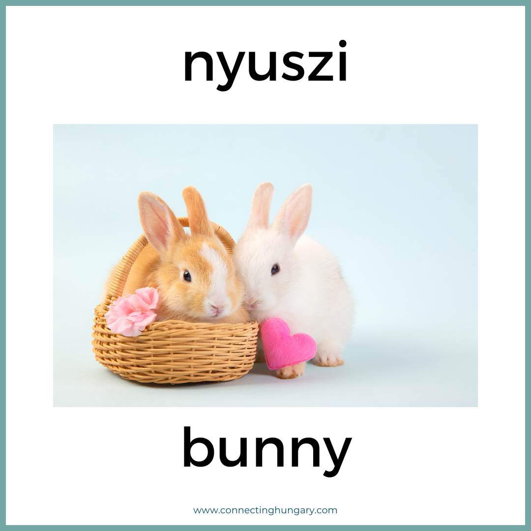nyuszi bunny