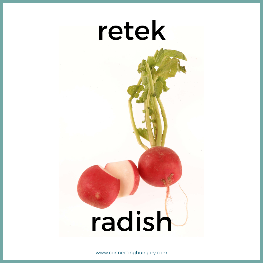 retek red radish