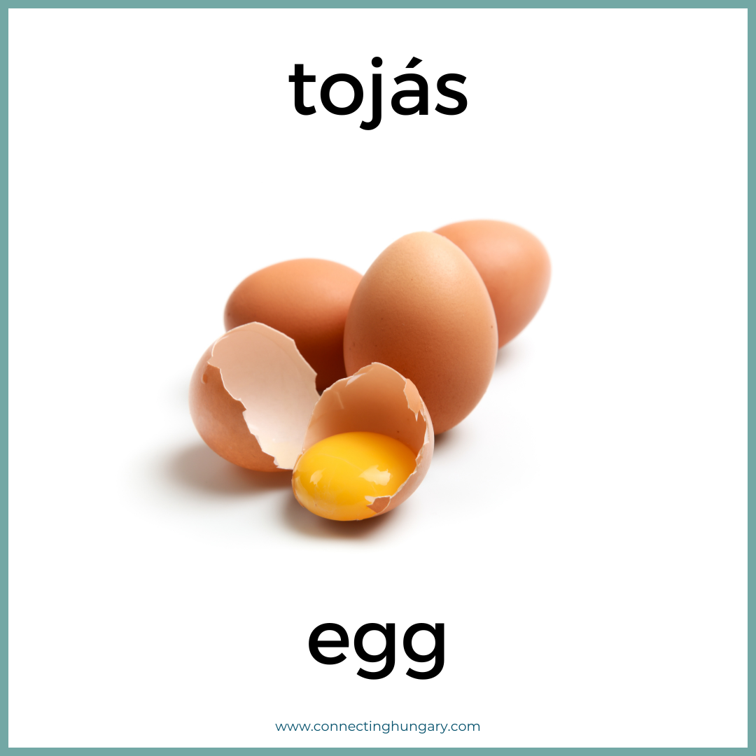 tojas egg