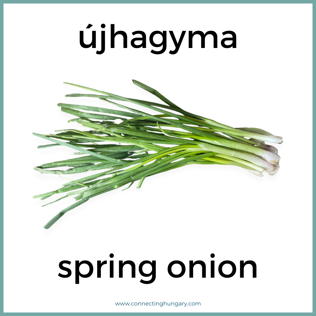 újhagyma spring onion
