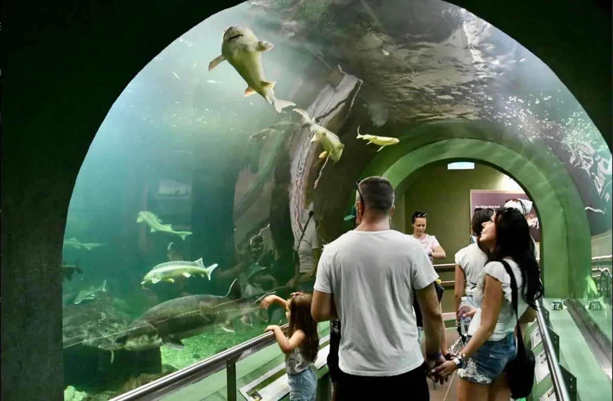 Lake Tisza Econcentre Hungary